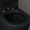 doporro WC à Poser Céramique Noir Mat Toilette avec Voir les images du produit 6