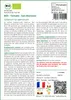 SAFLAX  -- Tomate - San Marzano - 15 graines - Solanum Voir les images du produit 3