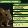 KRUMAD Mausefalle/Rattenfalle Lebendfalle 43 cm – humane Produktbild-Vorschau 6