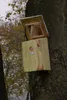 Esschert Design Spiegelnistkasten; NKY Produktbild-Vorschau 14