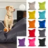 Green Bean Hundebett für mittlere & große Hunde 120x160cm Produktbild-Vorschau 6