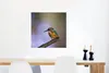 MuchoWow® Poster Eisvogel-Fotodruck 50x50 cm - Produktbild-Vorschau 5