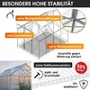 BRAST Gewächshaus Aluminium mit Fundament | 250x190x195cm Produktbild-Vorschau 4
