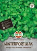 SPERLI Winterportulaksamen Postelein Montia perfoliata 300 Produktbild-Vorschau 1