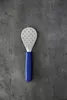 F. DICK Fischschupper 10x6,5cm Griff Kunststoff blau zur Anteprima dell’immagine prodotto 2