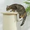 PawHut Kratzbaum, 85 cm, Katzenkratzbaum, Kratzsäule, Produktbild-Vorschau 8