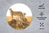 MuchoWow® Mauspad Mousepad Gepard - Gras - Natur - Savanne Produktbild-Vorschau 2