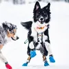 Non-stop dogwear Long Distance Booties 4er blau |132| Produktbild-Vorschau 3