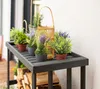 A dark gray wooden firewood rack with various potted plants and a decorative bamboo lantern on top, placed next to a white wall. Podgląd zdjęcia produktu