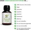 SinoPlaSan Löwenzahnwurzel-Extrakt | 100% | 100 ml Produktbild-Vorschau 7