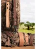 Karlie Halsband Cork - Rustic - 65cm / 35mm Produktbild-Vorschau 1