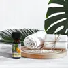 Zedernholz & Orange ätherische Ölmischung 10 ml – Produktbild-Vorschau 11