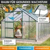 BRAST Gewächshaus Aluminium mit Fundament | 430x250x205cm | Produktbild-Vorschau 6