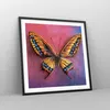 Gerahmtes Poster - Schwarzer Rahmen - Schmetterling bunt Produktbild-Vorschau 8