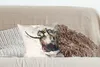 MuchoWow® Zierkissen Sofakissen Wohnzimmer Dekokissen 40x40 Produktbild-Vorschau 4