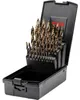 Ruko UC Spibo set FLOWSTEP TIP DIN338 HSSCo 25 pezzi in Anteprima dell’immagine prodotto 1