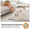 A woman is lying on a couch, looking at her dog, which is lying on a training pad on the floor. Produktbild-Vorschau