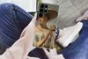 MuchoWow® Handyhülle Schutzhülle Hülle für Samsung Galaxy Produktbild-Vorschau 3