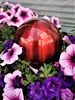 A red decorative sphere is nestled among purple and pink petunias. Produktbild-Vorschau