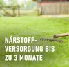 COMPO SAAT® Rasen-Reparatur Mix 360 g für 15 m² Produktbild-Vorschau 7