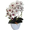 Orchidea artificiale Damich, fiori, in gomma, 2pgk Anteprima dell’immagine prodotto 2