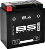 BS BATTERY SLA Akumulator bezobsługowy aktywowany Podgląd zdjęcia produktu 6