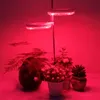 LED lampa pro rostliny s plným spektrem stmívatelná výška Náhled obrázku produktu 9