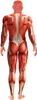 Costume di Halloween a tema anatomia, taglia M Anteprima dell’immagine prodotto 4