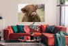 MuchoWow® Poster Schottischer Highlander - Braun - Tiere Produktbild-Vorschau 2