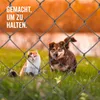 A cat and a dog are behind a wire fence, with text overlayed on the image. Produktbild-Vorschau