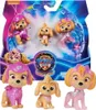 PAW Patrol PAW RLP Skye Figure Pack INTL PPTMM GML, 3 rok / Náhľad obrázku produktu 10