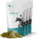 Three pouches of horse supplement with some of the product shown in front. Anteprima dell’immagine prodotto