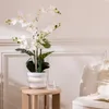 Künstliche orchidee im topf "mick" keramiktopf weiß h80cm  Produktbild-Vorschau 2