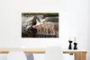 MuchoWow® Poster Füchse - Baumstamm - Natur 60x40 cm - Produktbild-Vorschau 5