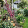 Korsch Gartenträume Kalender 2027 – Bildkalender mit viel Produktbild-Vorschau 3