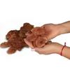 HILTON Soft duck rings - Hundeleckerli - 500 g Produktbild-Vorschau 4