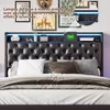 Lit Coffre 140x200 cmPolyuréthaneNoir, LED, Charge USB, Voir les images du produit 6