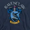 Harry Potter - "Arch" hoodie voor heren/dames, uni model, Productafbeelding-voorbeeld 3