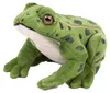 Kuscheltier Frosch 19 cm grün sitzend Plüschfrosch Produktbild-Vorschau 5