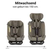 Novi Lucas Premium i-Size Kindersitz (R129) – Taupe – Produktbild-Vorschau 2