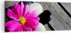 Bild auf Leinwand - Leinwandbild - Stein Blume Produktbild-Vorschau 1