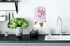 MuchoWow® Poster Draufsicht auf eine rosa Pfingstrose 20x40 Produktbild-Vorschau 3