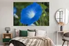 MuchoWow® Poster Blaue Orchidee vor einem verblassten Produktbild-Vorschau 4