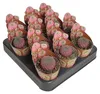 Sulcorebutia rauschii violacidermis - seltener Kugelkaktus Produktbild-Vorschau 3