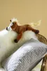 Warmies Wärmetier Pony Produktbild-Vorschau 9