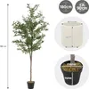 ML-Design umelý olivovník 180 cm, umelá rastlina s kmeňom z Náhľad obrázku produktu 7