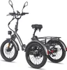 FAFREES F20 Mate E-Lastenrad - Akku 48V21AH 20-Zoll-Rädern Produktbild-Vorschau 5