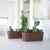 Two brown planters filled with various cacti and succulents are placed on a white surface in a bright, modern room. Voir les images du produit