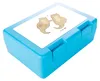 Mr. & Mrs. Panda Bentobox Otter Hände halten - Weiß - Produktbild-Vorschau 3