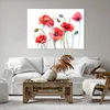 Bild auf Leinwand - Leinwandbild - Blume Mohn Wiese - Produktbild-Vorschau 6